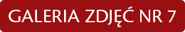 GALERIA ZDJĘĆ NR 6
