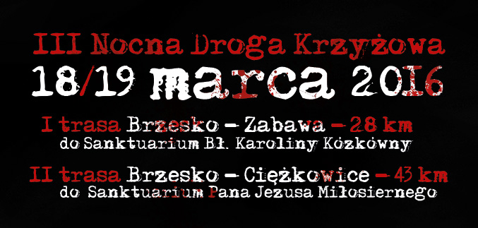 III Nocna Droga Krzyżowa - 2 trasy: Pierwsza z Brzeska do Zabawy, Druga z Brzeska do Ciężkowic - w nocy z 18 na 19 marca 2016 r.