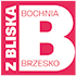 Bochnia Brzesko z bliska